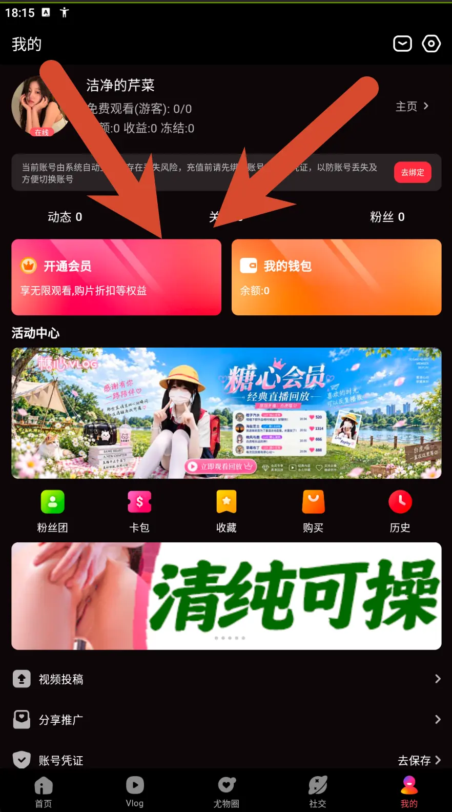 糖心Vlog个人中心会员与钱包界面示例