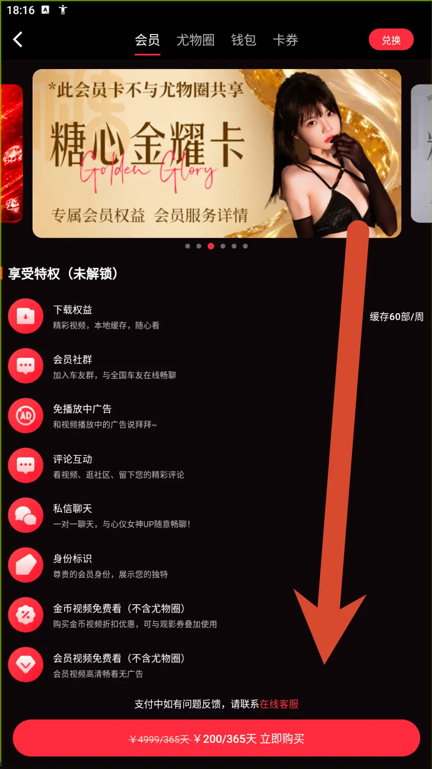 糖心金耀卡会员价格界面示例